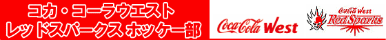 RJER[@bhXp[NXzbP[